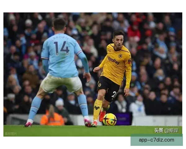 一次三次萨卡狼队莫利纽克斯谜