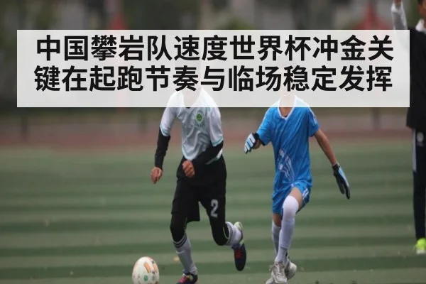 中国攀岩队速度世界杯冲金关键在起跑节奏与临场稳定发挥
