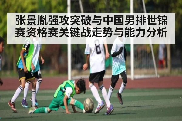 张景胤强攻突破与中国男排世锦赛资格赛关键战走势与能力分析 - c7c7